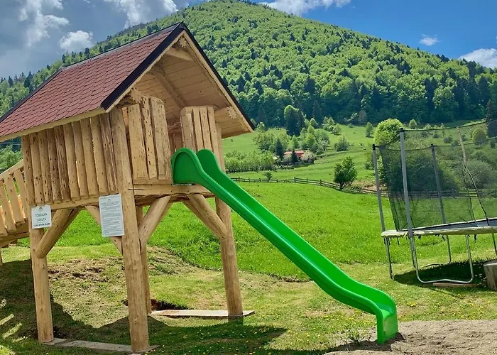 Pensiunea 3 Brazi Zarnesti