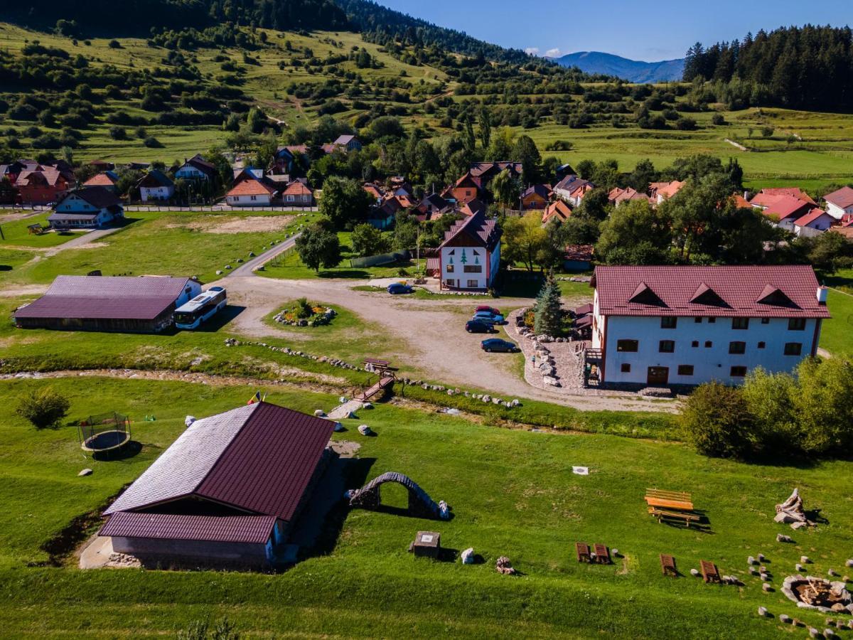 Hotel Pensiunea 3 Brazi 3*