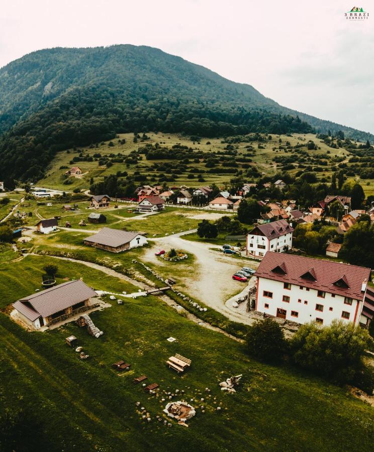 Hotel Pensiunea 3 Brazi