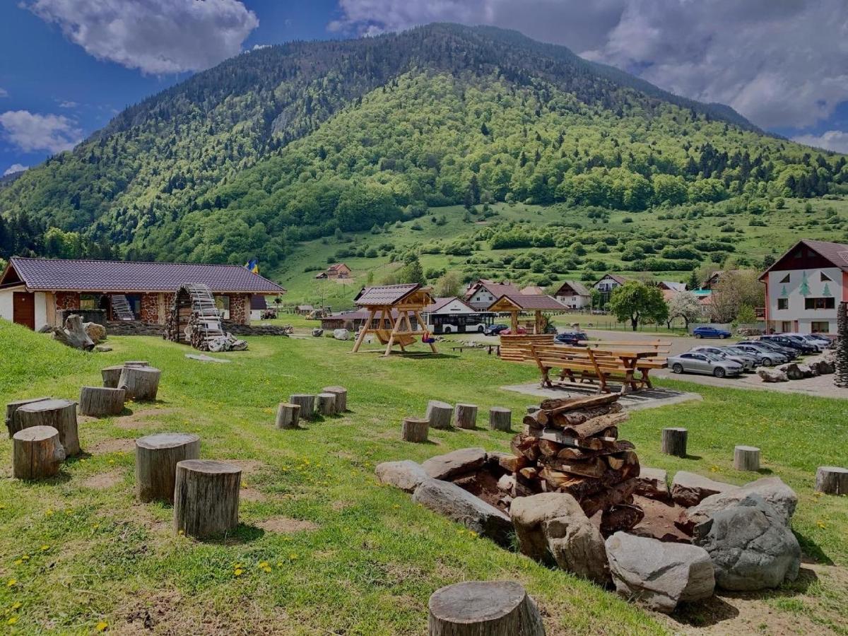 Pensiunea 3 Brazi Hotel
